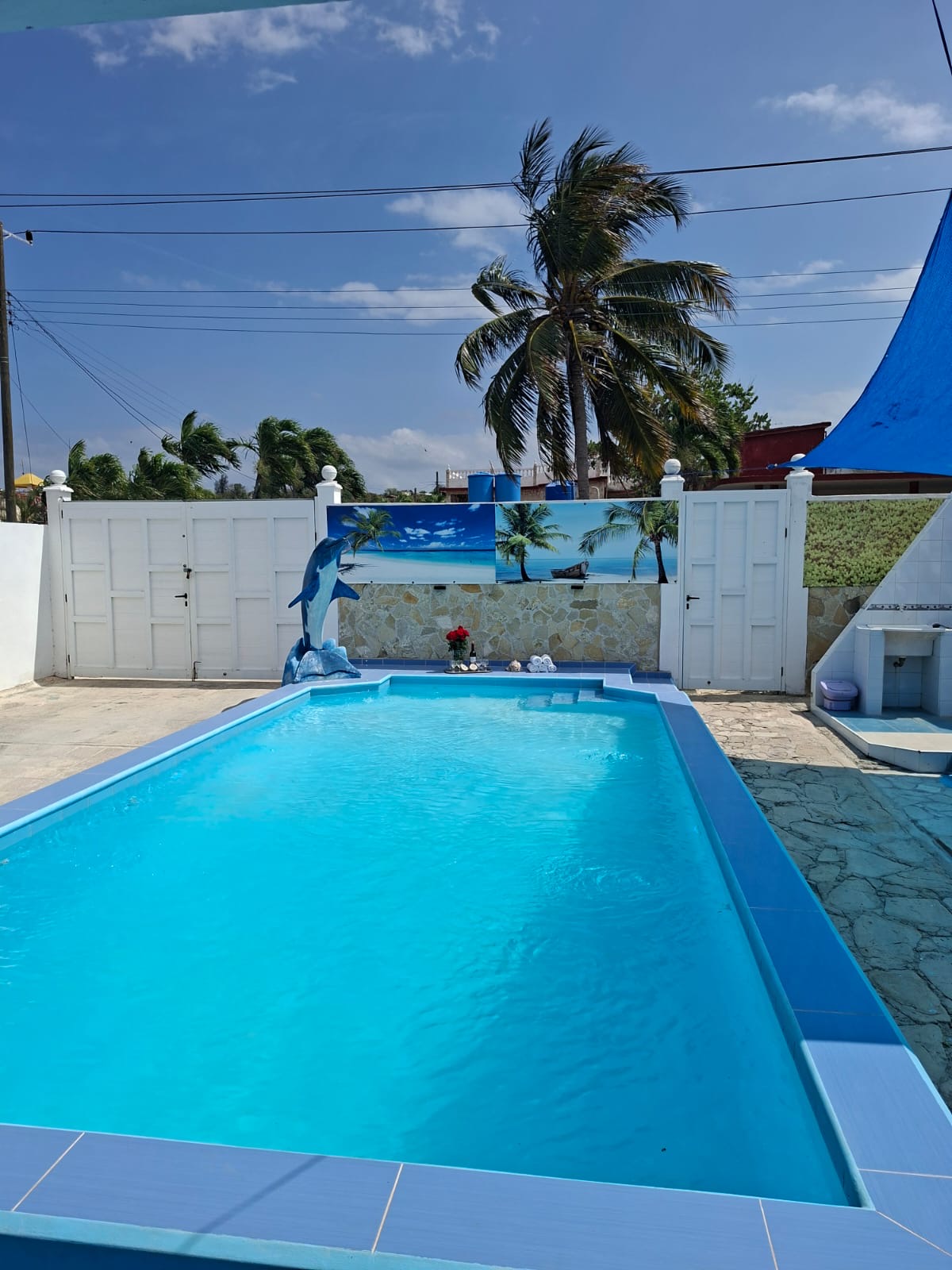 Casa-con-piscina-grande-en-Boca-ciega-y-paneles-solares