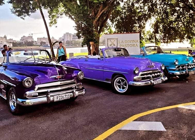 Foto-5-12-23-dfgsdgfg311-34-53-a.